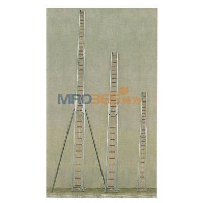 �����X�Ͻ�����