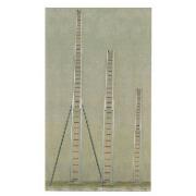 �����X�Ͻ�����