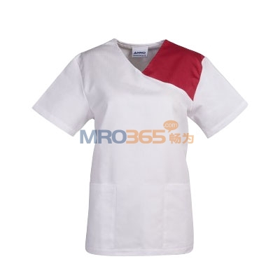 ���Z 09SS009 ���g��