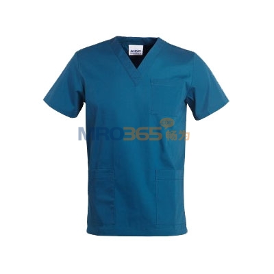 ���Z 09SS001 ���g��