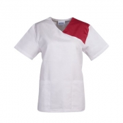 ���Z 09SS009 ���g(sh��)��