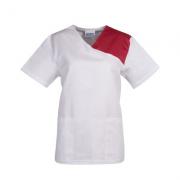 ���Z 09SS009 ���g��