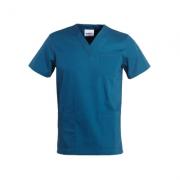 ���Z 09SS001 ���g��