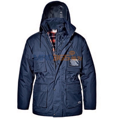 ˼SIR 34107 Siberian Splitđɲжˮ/_h