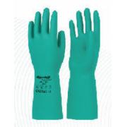 �m�� SR101 ����ֲ�q�������� ������ ��120�p/�䣩