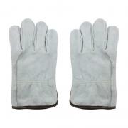 h HD-DR2006 BţƤ a𾀣216p/