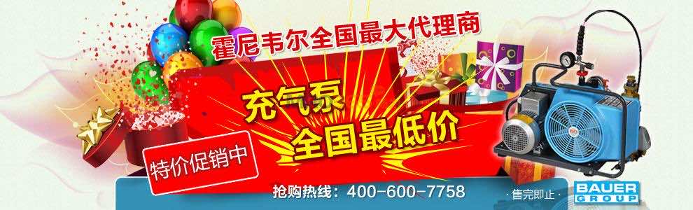 空氣呼吸器充氣泵全國**