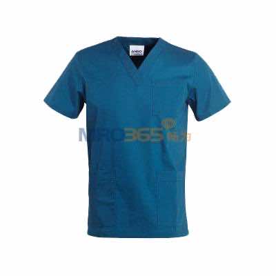 ���Z 09SS001 ���g��