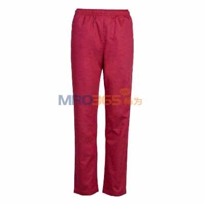 ���Z 09SS006-�tɫ ���g(sh��)��